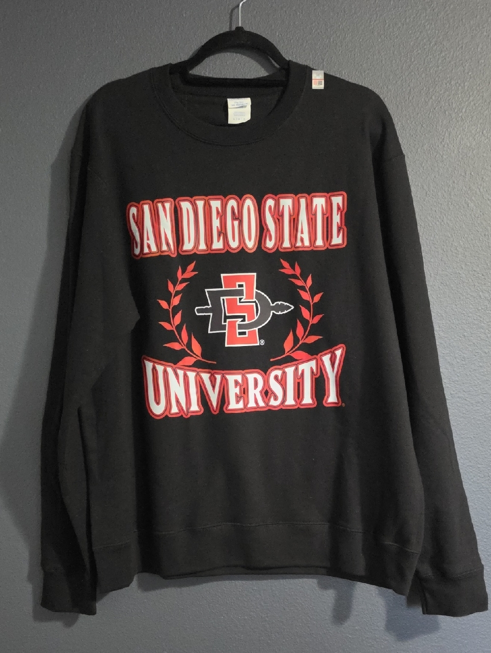 San Diego State University
